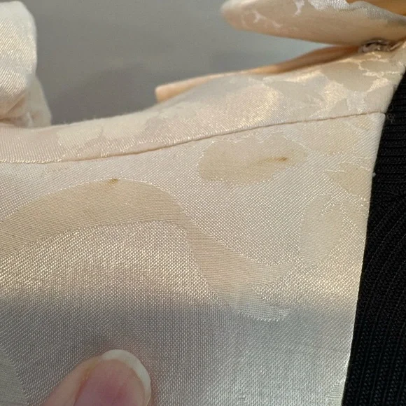 Romantic champagne vintage dress puffy sleeves lace cottagecore tulle - Picture 15 of 16